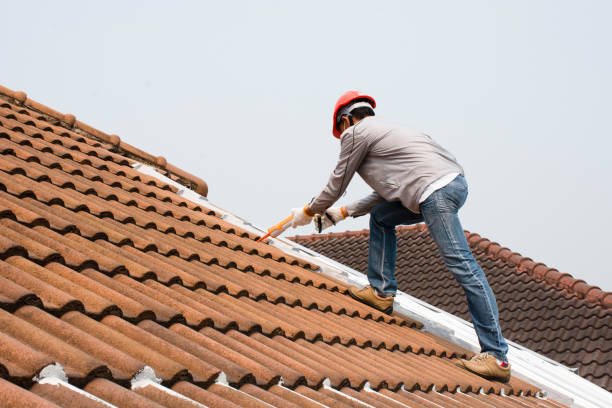 Reliable Woodstown, NJ  Roofing repair and installation Solutions